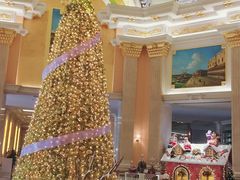 -沈阳于洪碧桂园凤凰酒店