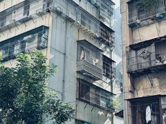 -共和老洪豆花草粿水粿