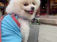 -龙华素斋(龙华路店)