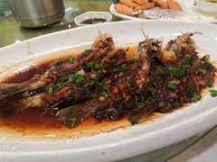 -和乐喜宴海鲜酒家(骏荣广场店)