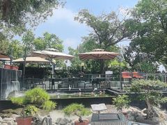-蘇河湾·新鲁菜·泰山宴(泰山店)