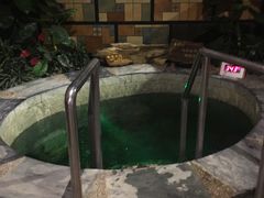 -泉城欧乐堡戏水湾艺术养生温泉