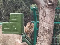 -北京西山国家森林公园