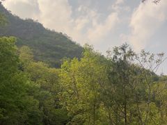 -北京鹫峰国家森林公园