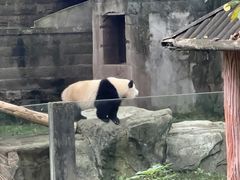 -尊品牛排(高能广场店)