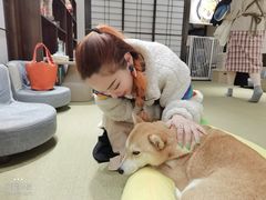 -逗柴咖啡屋·狗咖猫咖宠物桌游