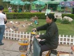 android_upload_pic-迎泽公园