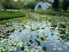 -映月湖公园