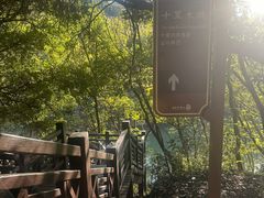 -白马涧龙池景区