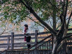 -重庆彩云湖湿地公园
