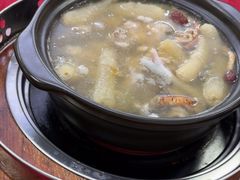 -花苑美食横琴生蚝火锅(拱北粤华路店)