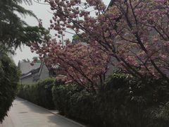 -北京颐和宾馆