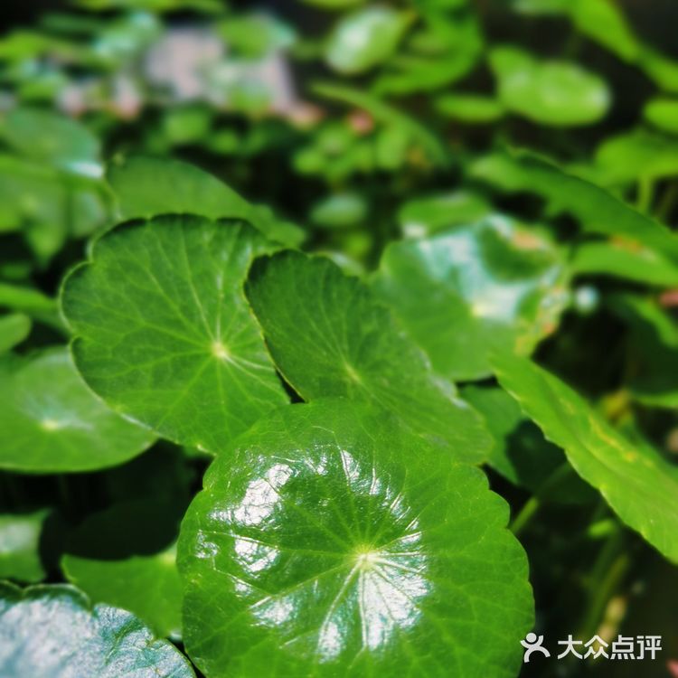 这一家店承载了老南宁人满满的回忆