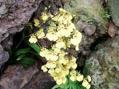 -南通洲际绿博园