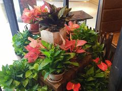 -同仁四季椰子鸡(海岸城天利店)
