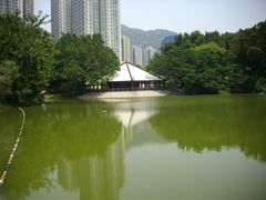 -屯门公园