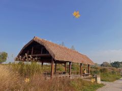 -良渚古城遗址公园