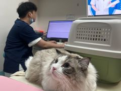 -奈斯宠物医院·核磁CT·异宠专科·内镜(中南店)