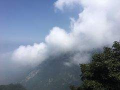 -少华山国家森林公园