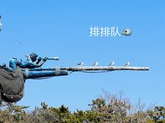 -大连老虎滩海洋公园