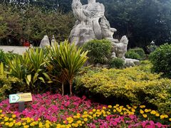-金鸡山公园