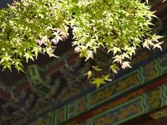 -汤山公园