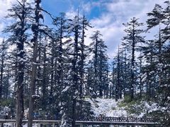 -瓦屋山景区