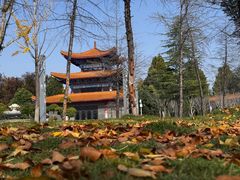 -商丘市人民公园