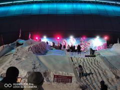 -沈阳奥体冰雪嘉年华