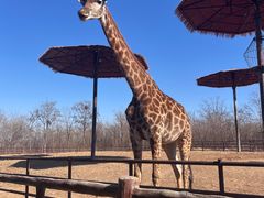 -济南野生动物世界