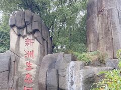 -新洲生态园