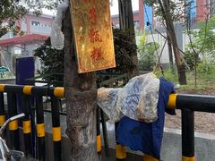 -马文章胖子甑糕(洒金桥店)