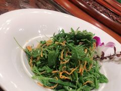 -海拉尔蒙古包(房山长阳总店)