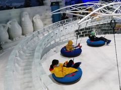 -杭州少年儿童公园