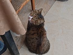 -九寨沟石锅鱼(沣峪口店)