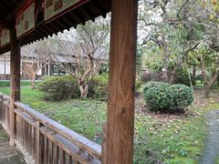 -东园小馆·早茶·淮扬小炒(宋夹城店)