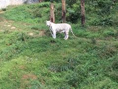-贵州森林野生动物园