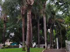 -永安龟山公园