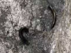 -碓臼峪自然风景区