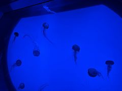 -沈阳海洋探索中心