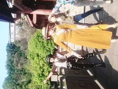 -重庆彩云湖湿地公园