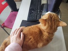 -艾泽瑞斯图文快印打印复印证件照设计名片画册(艾泽瑞斯打印复印洗照片店)