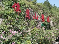 -佛慧山