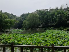 -棒棰岛宾馆景区