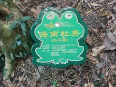 -呀诺达热带雨林