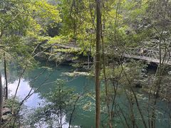 -石台牯牛降景区
