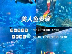 -锦艺城海洋馆