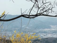 -北京西山国家森林公园