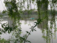 -沙市市中山公园
