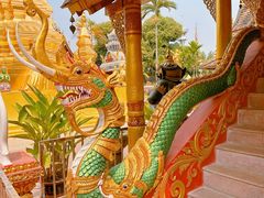 -西双版纳傣族园